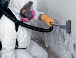 Best Environmental Consulting for Mold Prevention  in USA